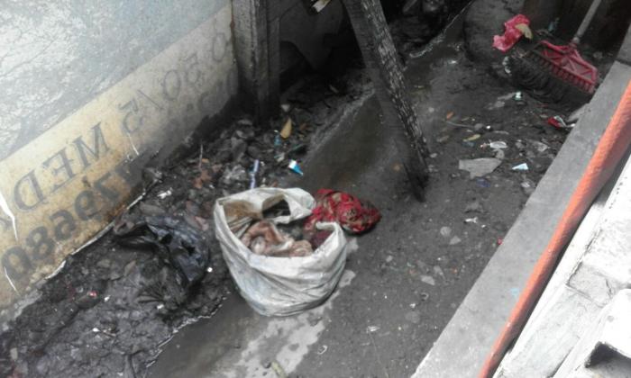 PKL Stadion Teladan Dihebohkan Penemuan Orok