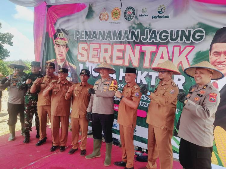 Sinergi Lintas Sektor: Penanaman Jagung Serentak 1 Juta Hektar di Hamparan Perak"