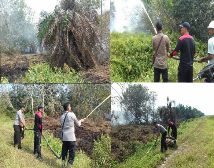 Pasca Kebakaran Lahan,  Polsek Panai Tengah Pantau Lokasi