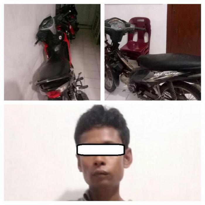Polsek Kualuh Hulu Bekuk Warga Sigambal Pelaku Curanmor 