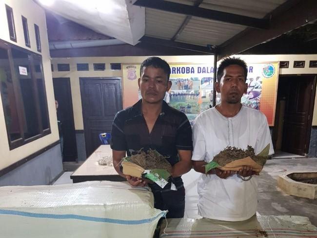400 Kg Ganja dari Aceh Gagal Beredar ke Jakarta