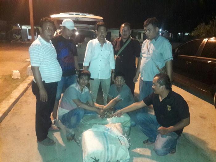 Polsek Belawan Ringkus Empat Pemilik 40 Kg Ganja