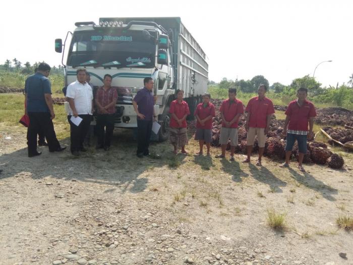 Poldasu Ringkus Sindikat Pencuri Sawit dari Tiga Lokasi