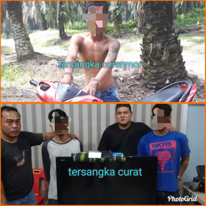 Polres Labuhanbatu Ringkus Pelaku Curat dan Curanmor 