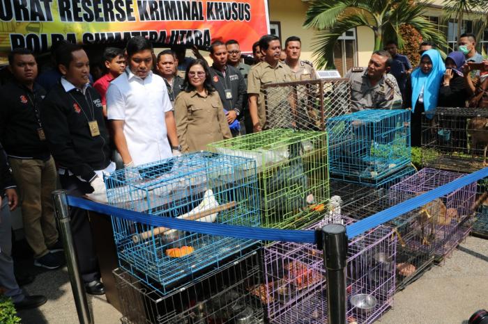 Poldasu Buron Pegawai Tirtanadi Atas Kepemilikan 16 Satwa Dilindungi