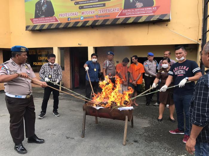 Polsek Patumbak Musnahkan 8 Kg Ganja dari Aceh