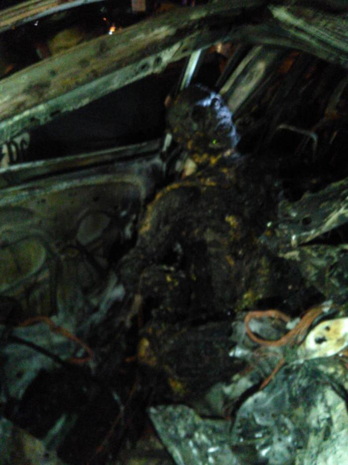 Honda Freed Tabrak Pohon, Owner Diskotek Cube Tewas Terpanggang