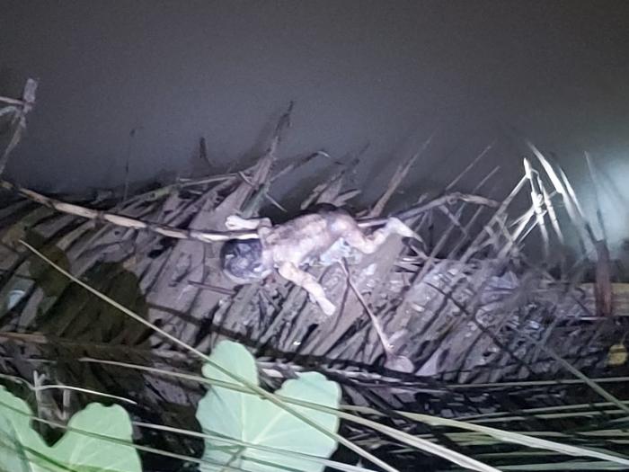 Jasad Bayi Tersangkut di Pelepah Sawit Sungai Serdang Gegerkan Warga Beringin 