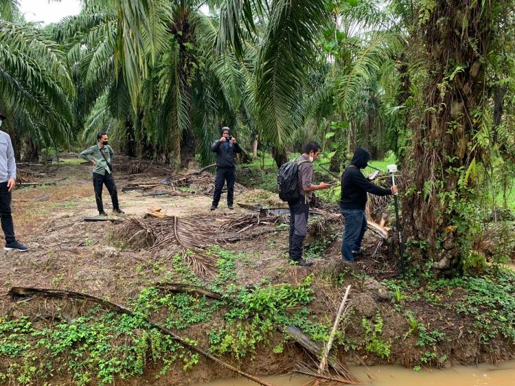 Tim Pidsus Kejatisu Cek Titik Koordinat Terkait Kasus Mafia Tanah di Langkat