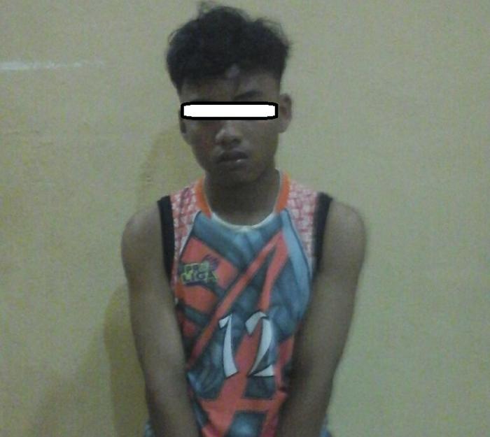 Pencuri Sawit Diringkus, Lima Lagi DPO