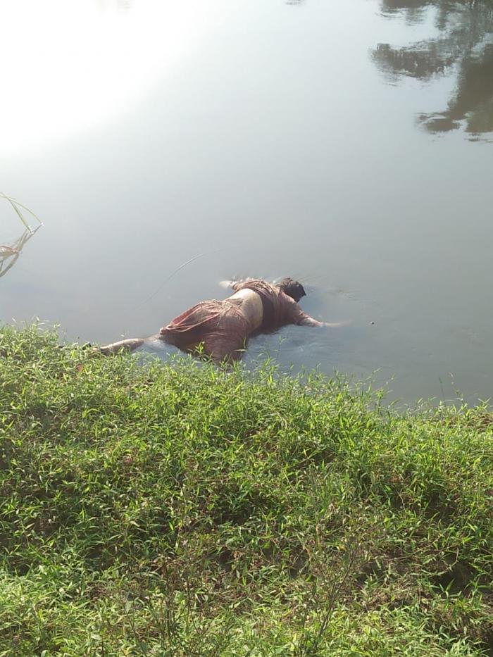 Mayat Wanita Mengambang di Akar Waru Sungai Belumai