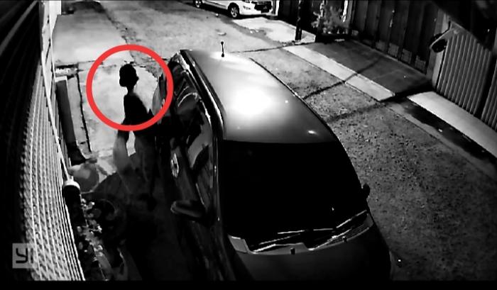 Wanita Terekam CCTV Mencuri Bunga