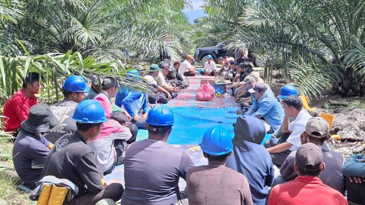 Produksi Kebun Bah Birung Ulu Tembus 10,9 Juta Kg, Lampaui Target RKAP