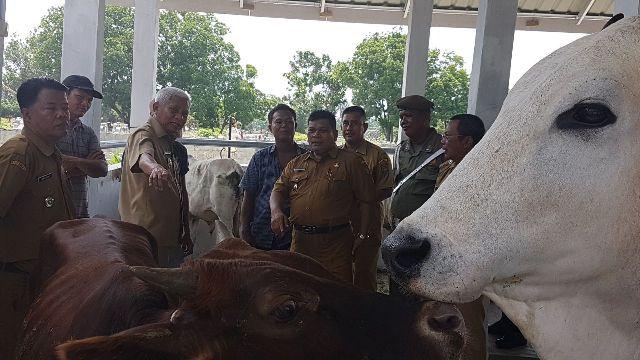 Wakil Bupati Asahan Launching Pasar Ternak