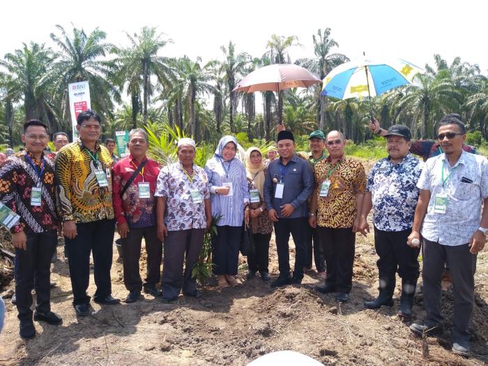 Lounching Perdana Program Peremajaan Kebun Kelapa Sawit 