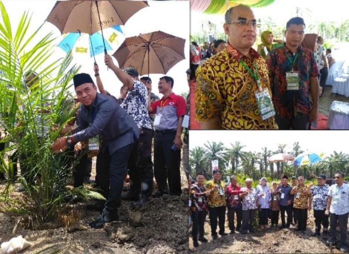Plt Bupati Labuhanbatu Hadiri Lounching Perdana PSR PT Siringo-siringo 