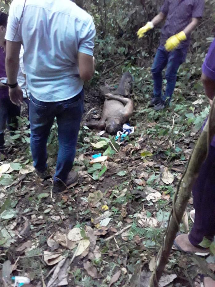 Lima Hari Menghilang, Ketua KPPS di Tarutung Ditemukan Membusuk 