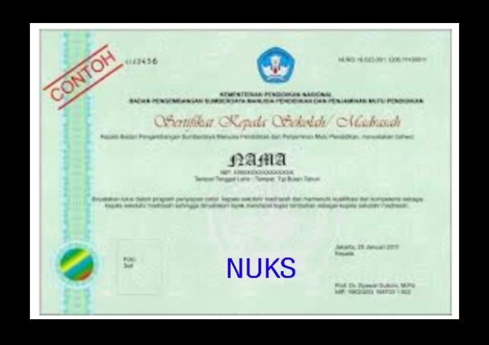 Tidak Ada Istilah Kecolongan, Bupati Didesak Copot Kasek SD 12 Pangkatan