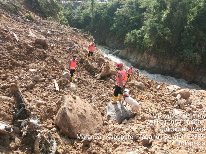 Kapoldasu Maksimalkan Tim Gabungan Fokus Cari Korban Longsor di Tapsel