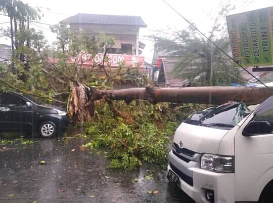 Kadis Pertamanan Bilang Ada Bantuan