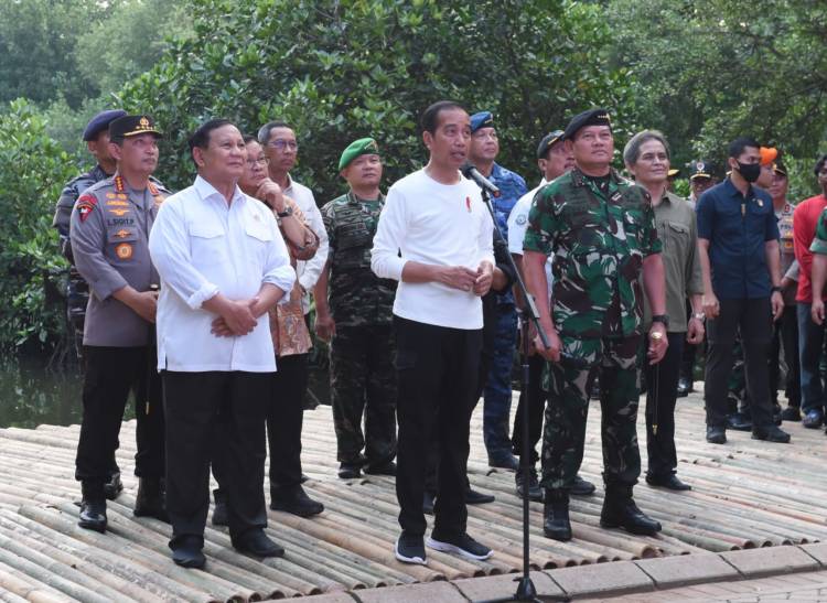 Kasad Dampingi  Presiden Pada Acara Puncak Penanaman Mangrove Nasional