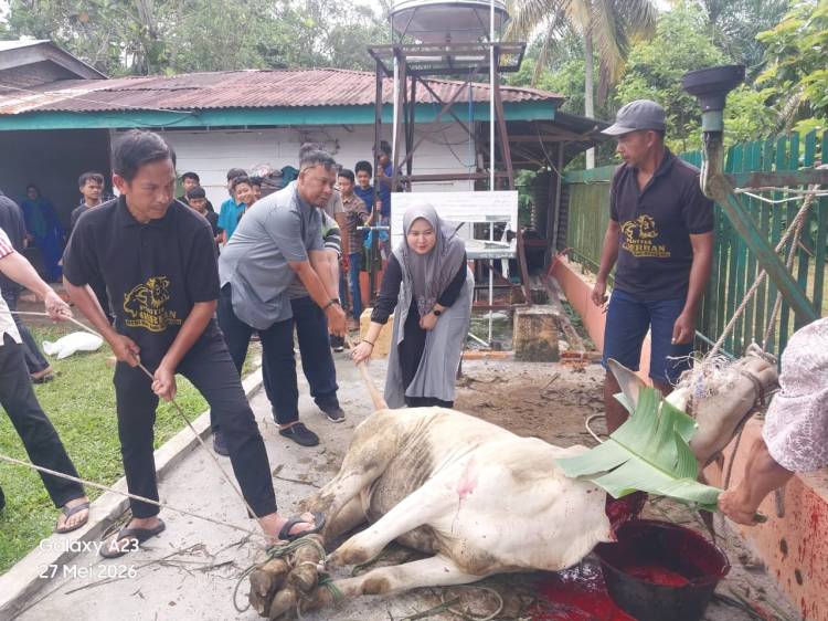 Momentum Idul Adha 1447 H, PTPN IV Regional II Kebun Bah Birung Ulu Sembelih 12 Hewan Kurban