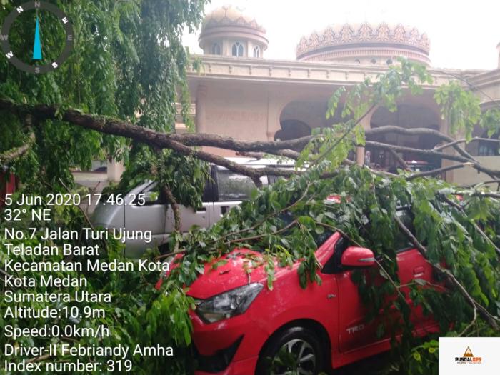 Hujan Lebat, 2 Unit Mobil Ditimpa Pohon 