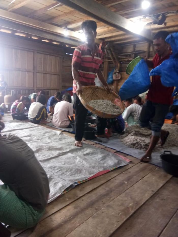 Di Indonesia, Pukat Tarik Dua Hanya Beroperasi di Perairan Sei Berombang