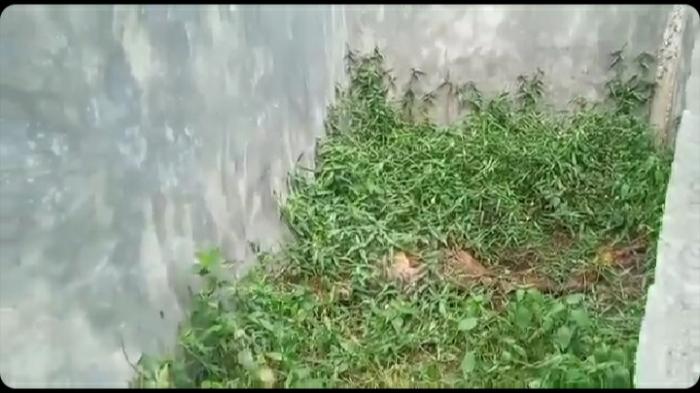 Penemuan Tulang Manusia Hebohkan Warga Tembung