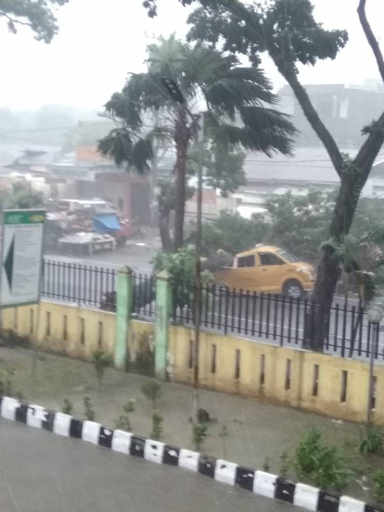 Pohon Timpa Angkot di Depan RS Adam Malik, 2 Pegawai Tewas dan 2 Luka-Luka