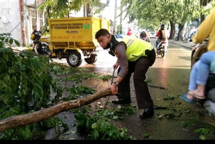 Polsekta Medankota dan Warga Bersihkan Pohon Tumbang