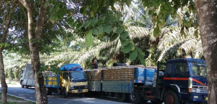 Dishub Asahan Tertibkan Aktivitas Bongkar Muat  