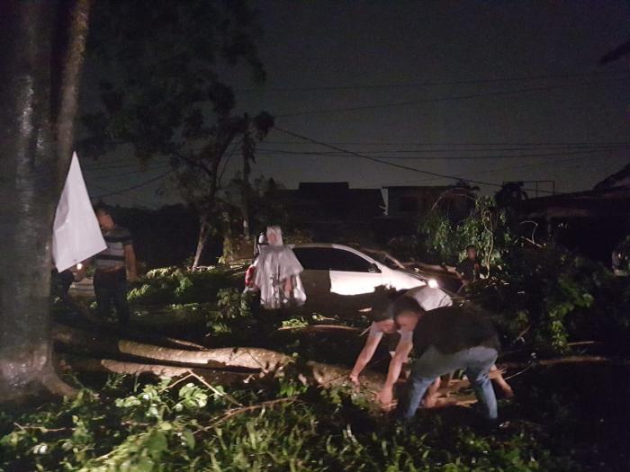 Hujan Deras Disertai Angin Kencang, Pohon Tumbang di Jalan Ngunban Surbakti 