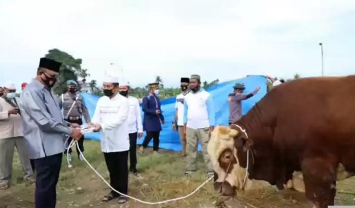 Polda Sumut Serahkan 435 Ekor Hewan Kurban