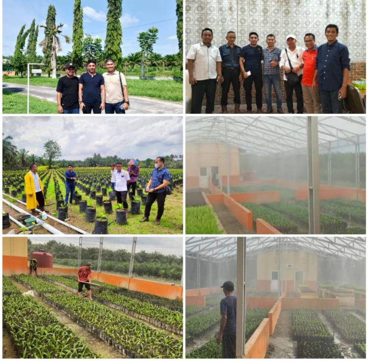 Vittorio Group Pelopori berdirinya  Rumah Kasa pertama di PTP. Nusantara se-Indonesia
