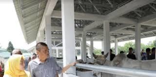 Idhul Adha, Pemkab Asahan Sembelih 93 Ekor Lembu dan 66 Kambing