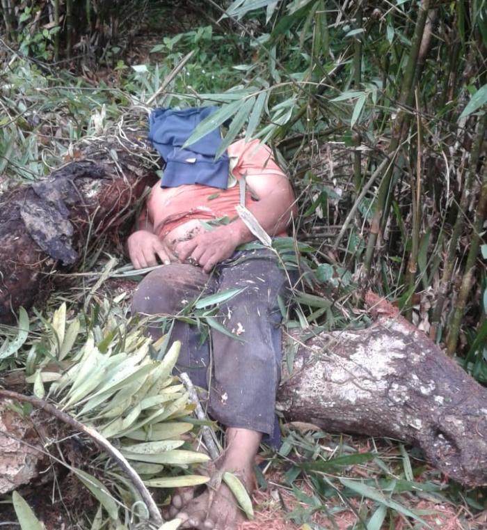 Pekerja Sinso Tewas Tertimpa Dahan Pohon Durian
