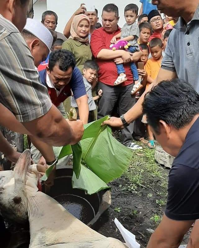 DPC PDI Perjuangan Asahan Sembelih Hewan Qurban