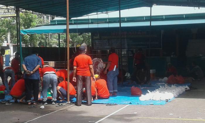 Keluarga Besar PN Medan Sembelih 6 Hewan Qurban