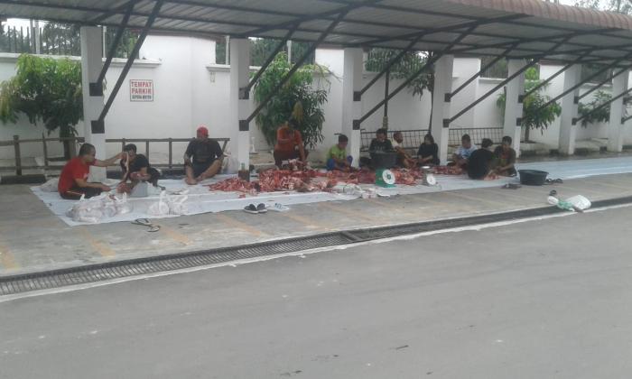 Kejatisu Sembelih 10 Sapi dan 7 Domba