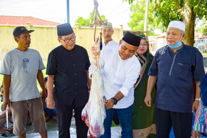 Bupati Saksikan Penyembelihan Hewan Kurban Pemkab Labuhanbatu