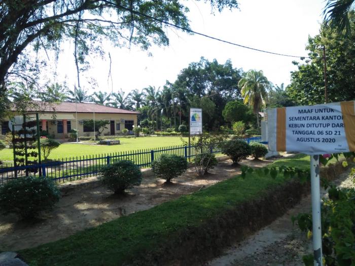 Sudah 9 Warga Kebun Rantauprapat Terpapar Covid-19 