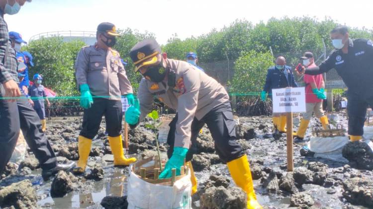 Kapolres Sibolga Tanam 2.076 Bibit Mangrove