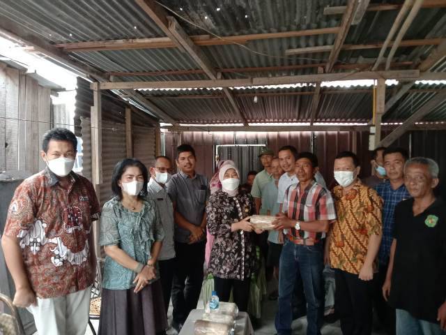 Dinas Ketapang Beri Bantuan Rumah Jamur Di Medan Labuhan