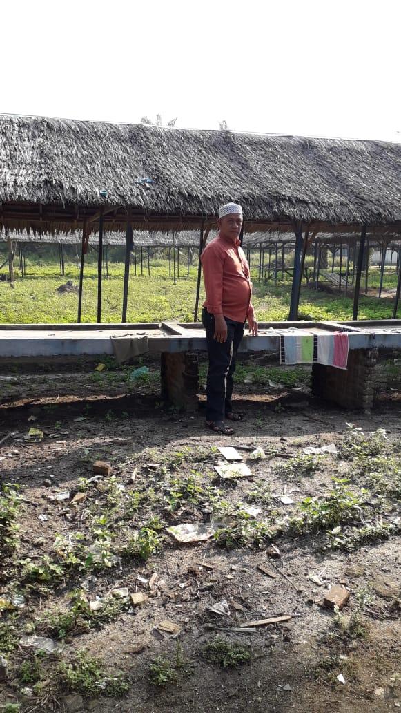 Pengelola Pasar Tradisional Adukan Bupati Batubara Zahir ke Presiden Jokowi 