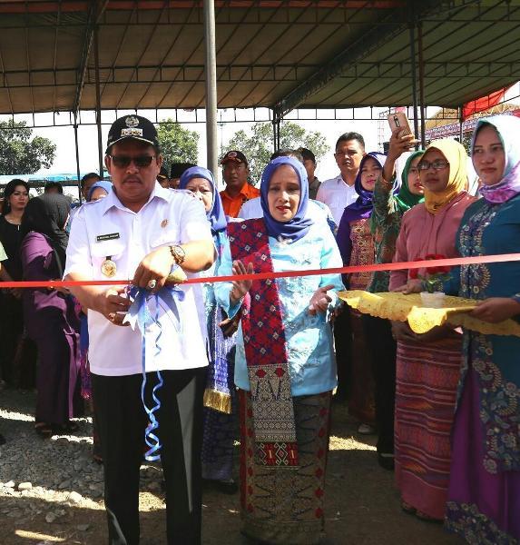 Bupati Buka Pameran Investasi Labuhanbatu Expo 2017  