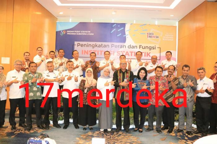 Dinas Kominfo Labuhanbatu Ikut Rapat Koordinasi Peningkatan Peran dan Fungsi Statistik dalam SDI