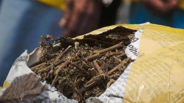 Sepanjang 2019, Pengungkapkan Narkoba Didominasi Ganja   