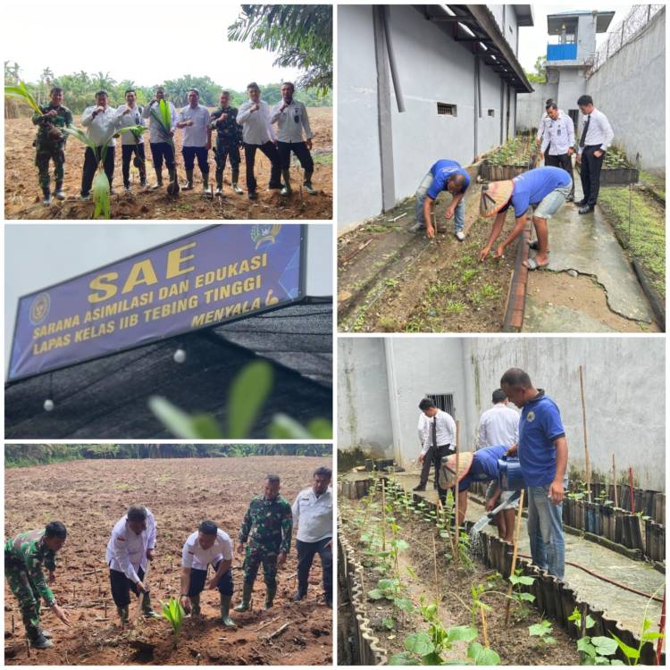 Lapas Tebing Tinggi Kembangkan Sarana Asimilasi Bidang Ketahanan Pangan.