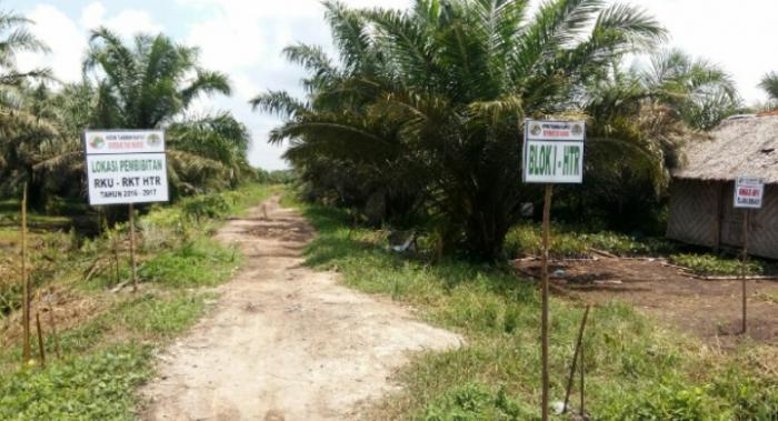 Bupati Asahan Diduga Maladministrasi Penerbitan SK-HTR